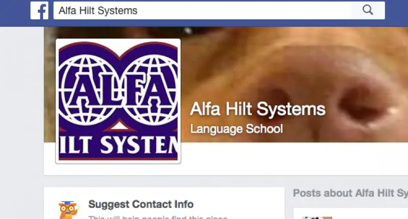 Alfa Hilt Systems 