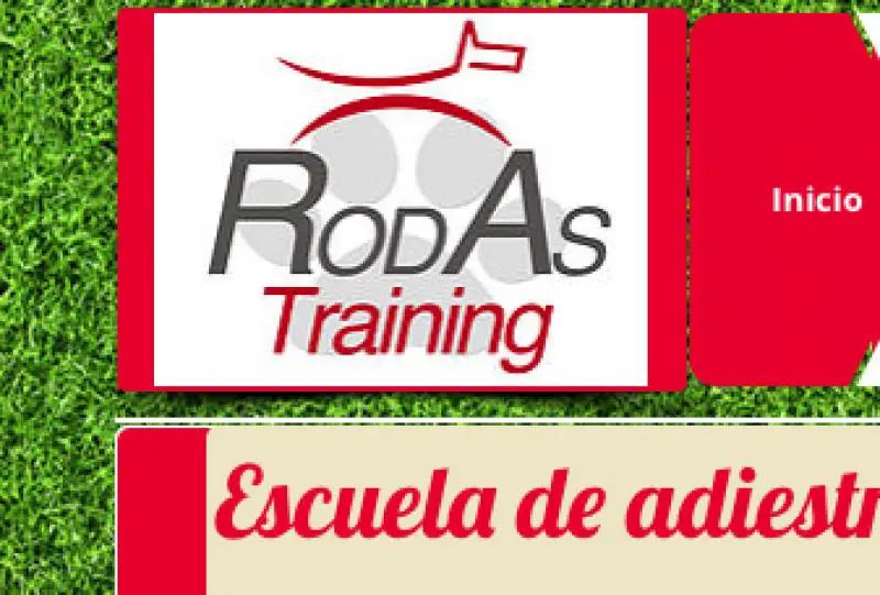 Rodas Training
