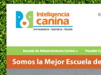 Inteligencia Canina Ciudad de México