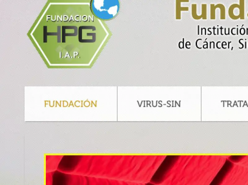 Fundación HPG Virusin