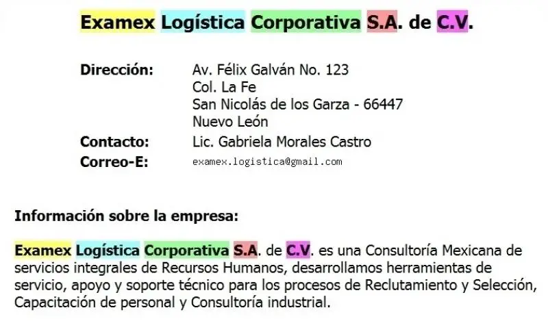 Examex Logistica Corporativa