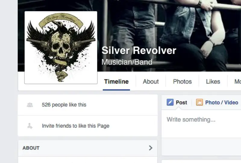 Silver Revolver