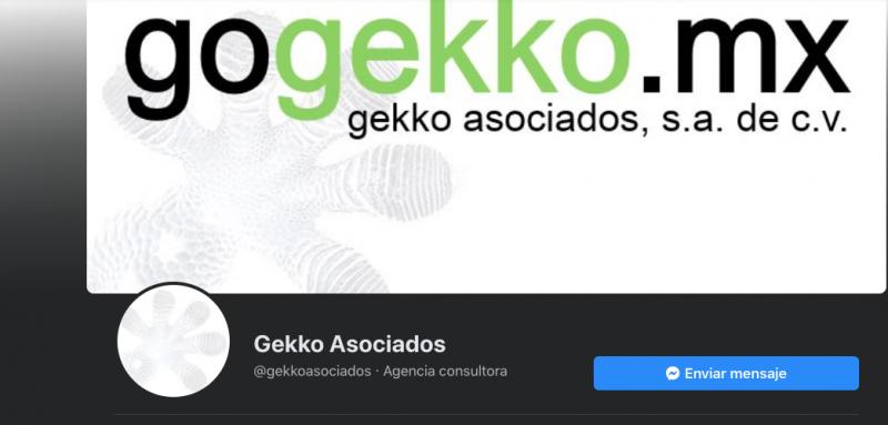 Gekko Asociados