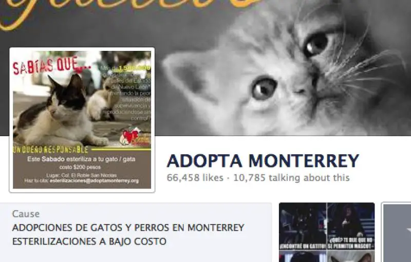 Adopta Monterrey