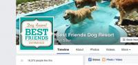 Best Friends Dog Resort Cuernavaca