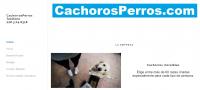 Cachorrosperros.com Acayucan