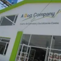 A Dog Company Guadalajara