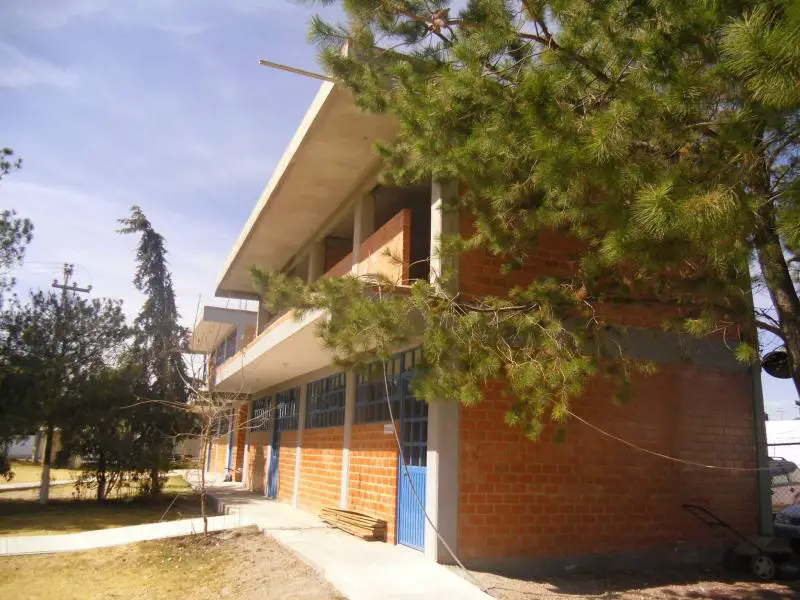 Escuela José Ibarra Olivares