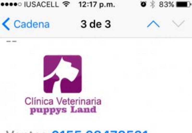 Clínica Veterinaria Puppys Land
