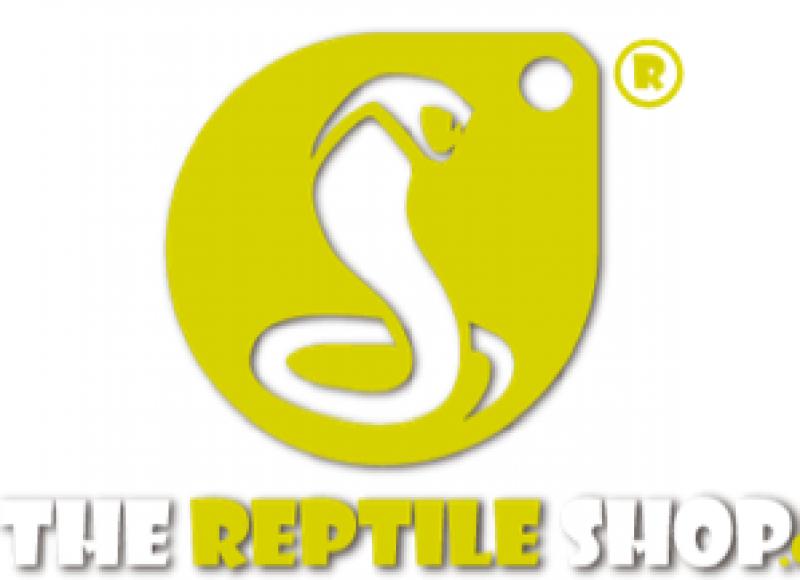 The Reptile Shop