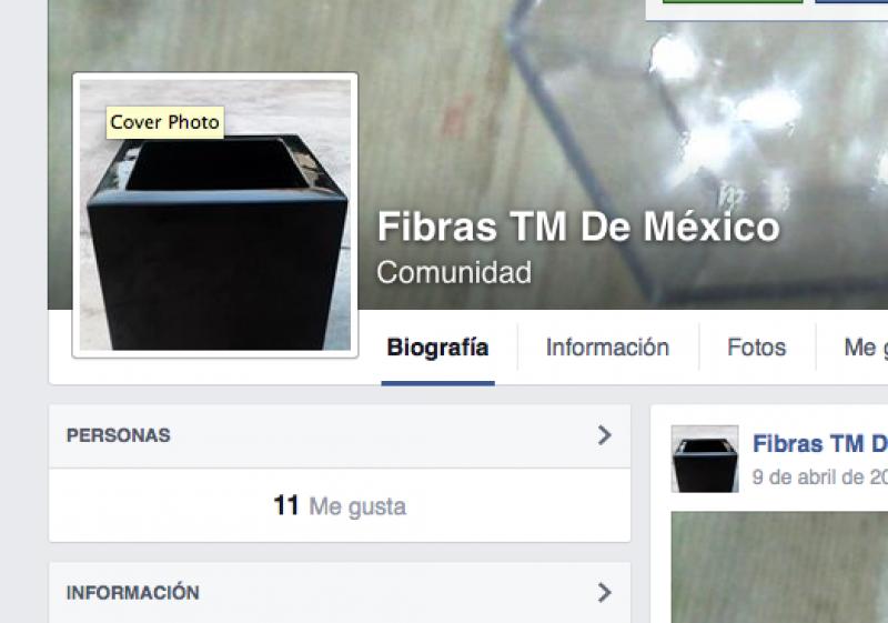Fibras TM De México