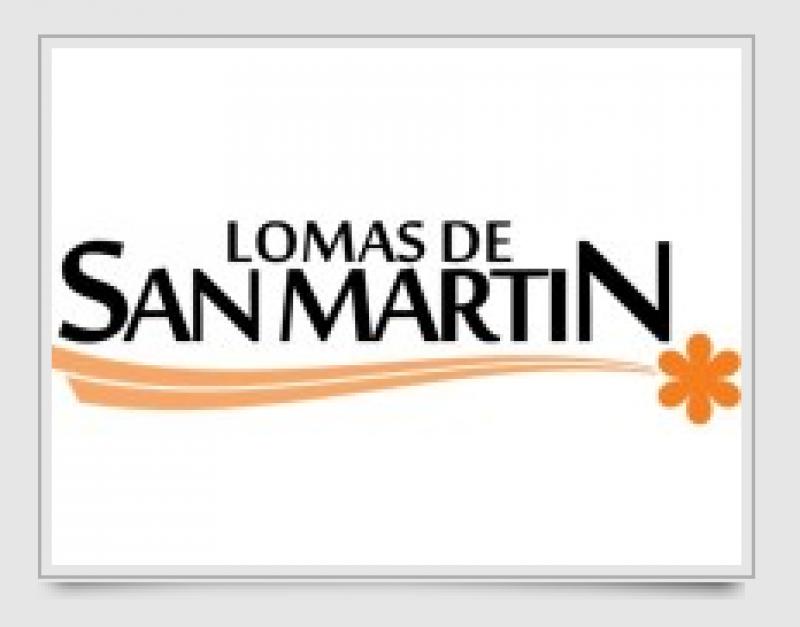 Fraccionamiento Lomas de San Martín