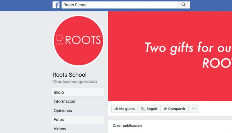 Roots School