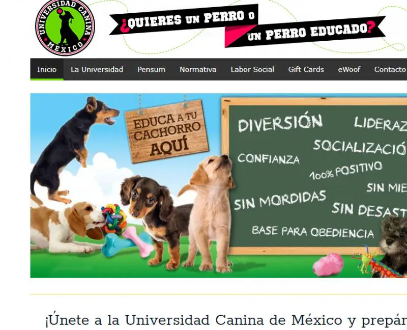 Universidad Canina de México
