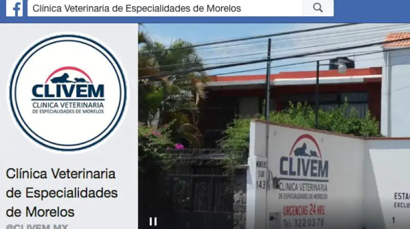Clínica Veterinaria Morelos 