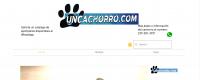 Uncachorro.com Xalapa