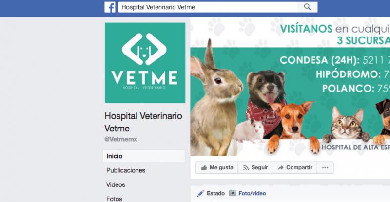 Hospital Veterinario Vetme