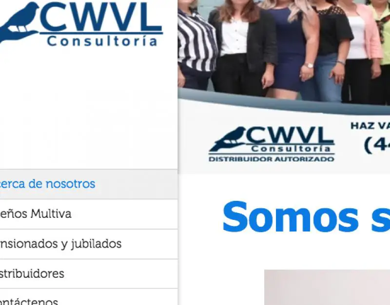 CWVL Consultoría