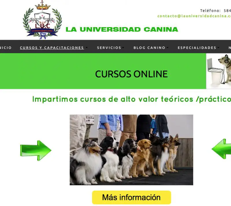 La Universidad Canina