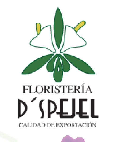 Floristería D'Spejel