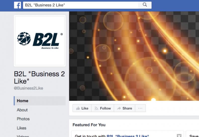 B2L Business 2 Like