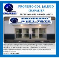 Professo Chapalita Guadalajara
