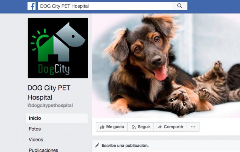Dog City Pet Hospital