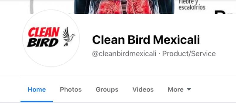 Clean Bird