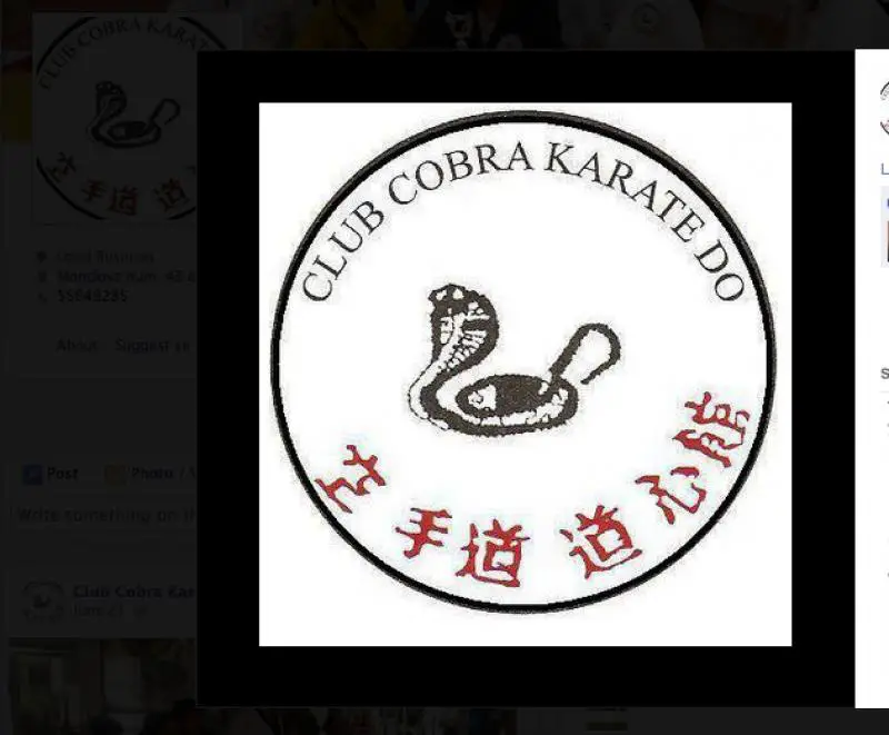 Club Cobra Karate Do