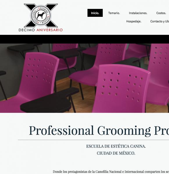 Professional Grooming Program