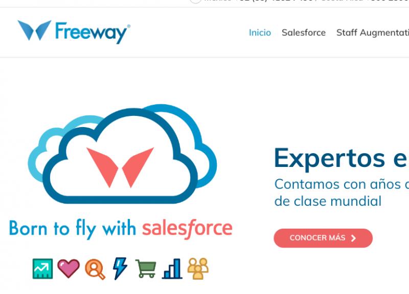 Freeway Consulting