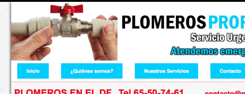 Plomerosurgentes.com.mx