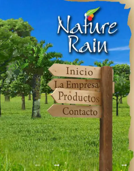 Nature Rain