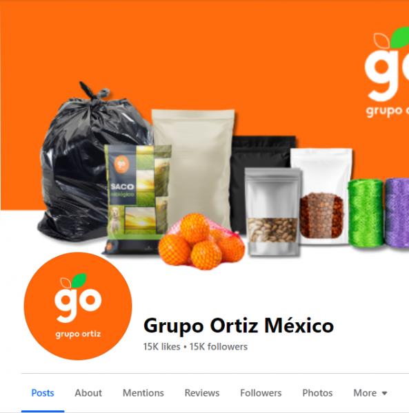 Grupo Ortiz