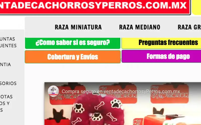 Ventadecachorrosyperros.com.mx