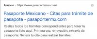 Pasaportermx.com Coacalco