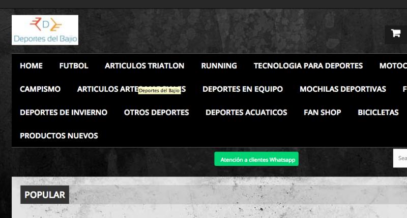 Deportesdelbajio.com.mx