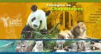 Zoológico de Chapultepec Ciudad de México