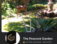 The Peacock Garden Ajijic