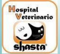 Shasta Hospital Veterinario MEXICO