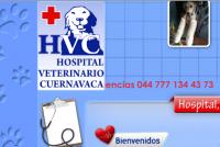 Hospital Veterinario Cuernavaca Cuernavaca