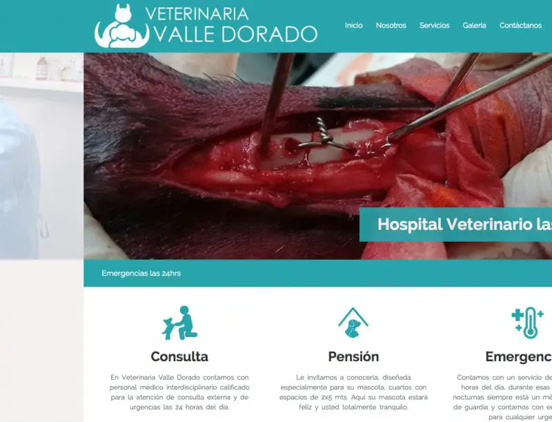 Clínica Veterinaria Valle Dorado