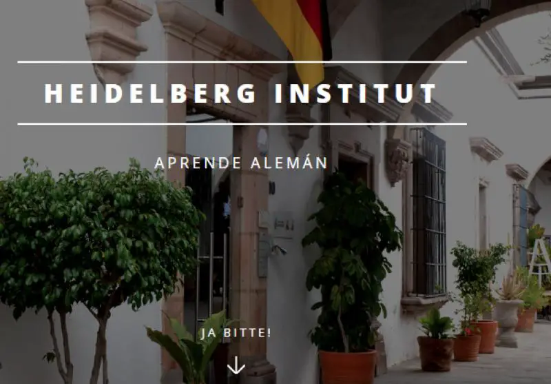 Heidelberg Institut