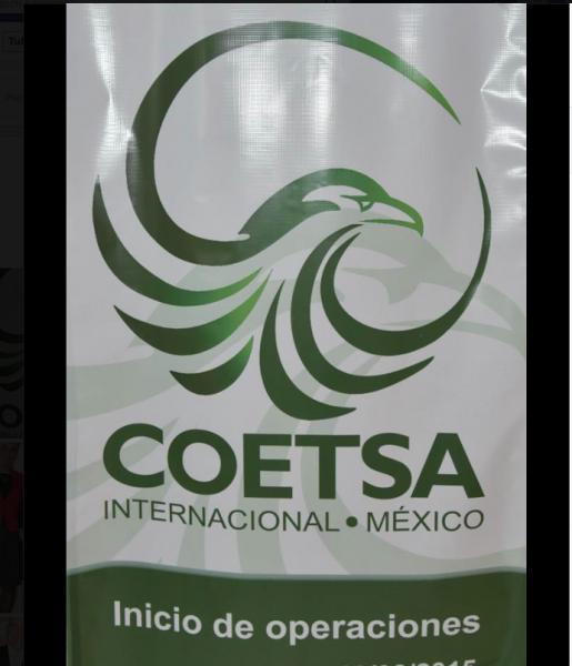 COETSA Internacional México