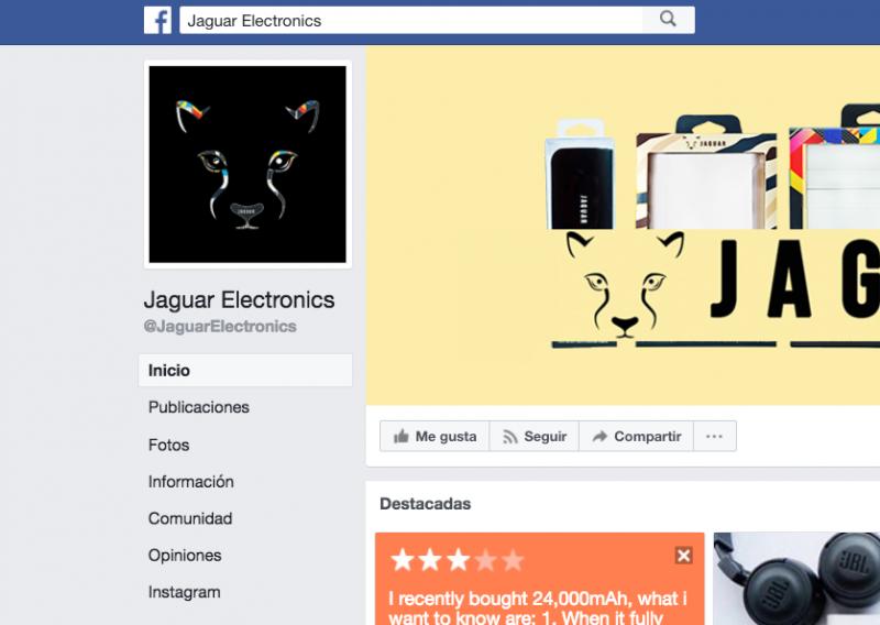 Jaguar Electronics