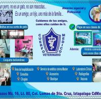 Cuerpo Médico Veterinario Ciudad de México