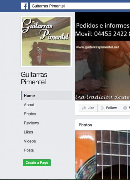 Guitarras Pimentel