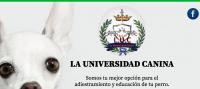 La Universidad Canina Ciudad de México