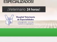 Hospital Veterinario de Especialidades Ceylan Tlalnepantla de Baz