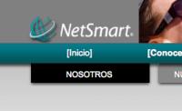 Netsmart San Luis Potosí